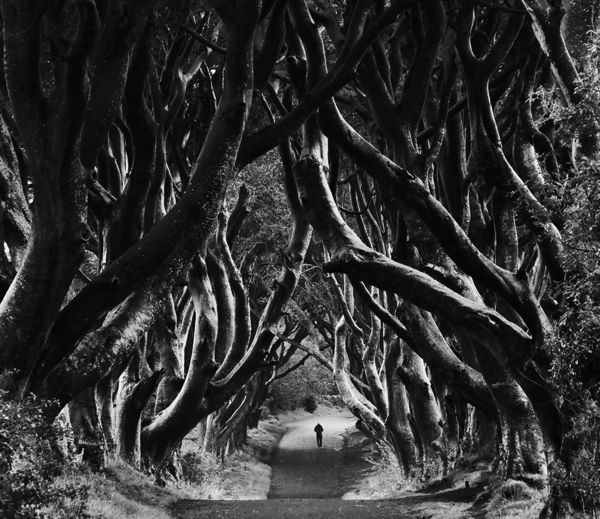 2021 год: лучшие фотографии читателей сайта Би-би-си в Британии