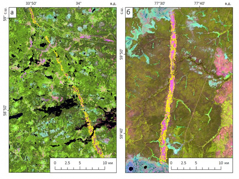 Какие следы оставляет ветер в лесу и что по ним можно выяснить