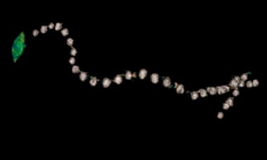 Мумифицированное тело египетского фараона раскрыло свои секреты спустя 3 500 лет