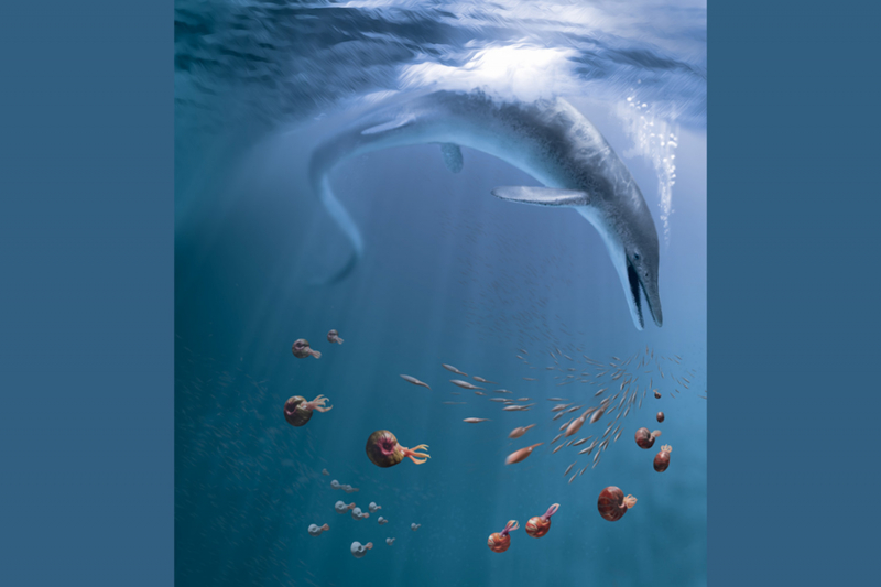 Палеонтологи: ихтиозавры очень быстро выросли после массового вымирания