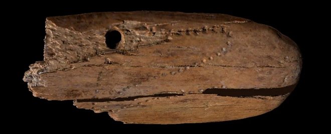 Подвеска из бивня мамонта оказалась старейшим украшением в Евразии 