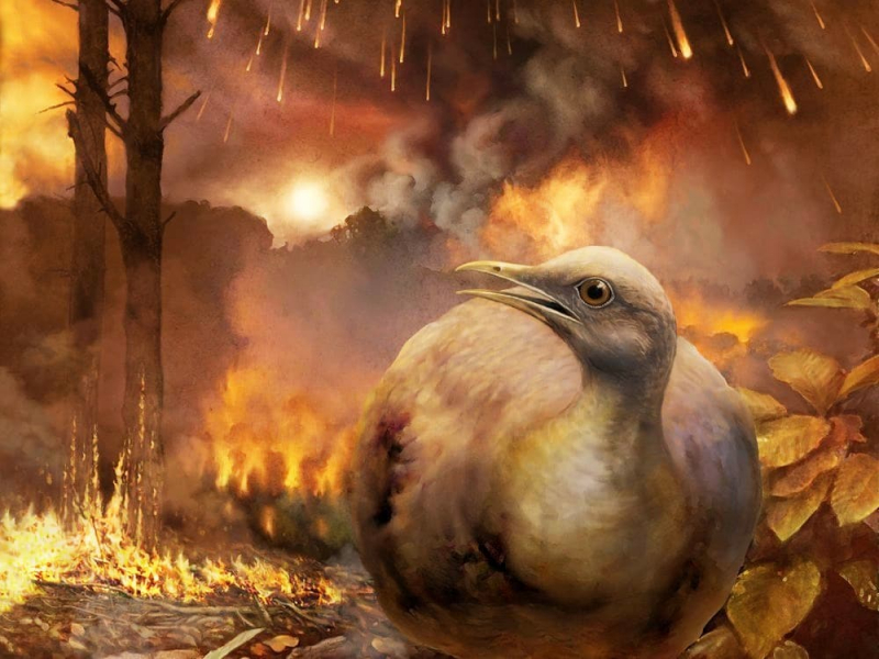 Шестое массовое вымирание: реальность или «мусорная наука»?