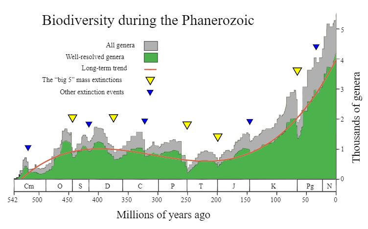 Шестое массовое вымирание: реальность или «мусорная наука»?