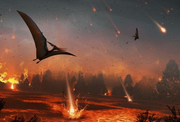 Шестое массовое вымирание: реальность или «мусорная наука»?