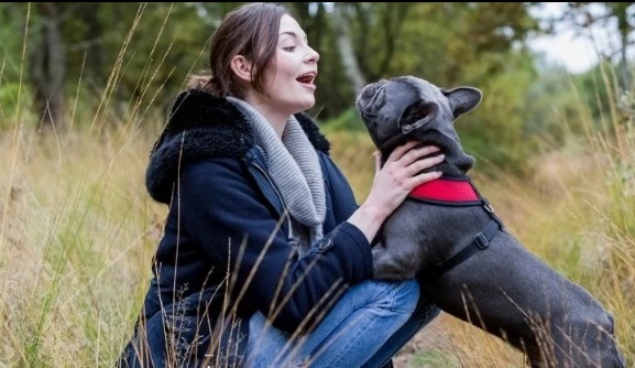 Собаки понимают в среднем 89 уникальных слов и фраз, показало новое исследование