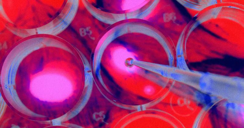 "Стартап долголетия" бросил вызов смерти