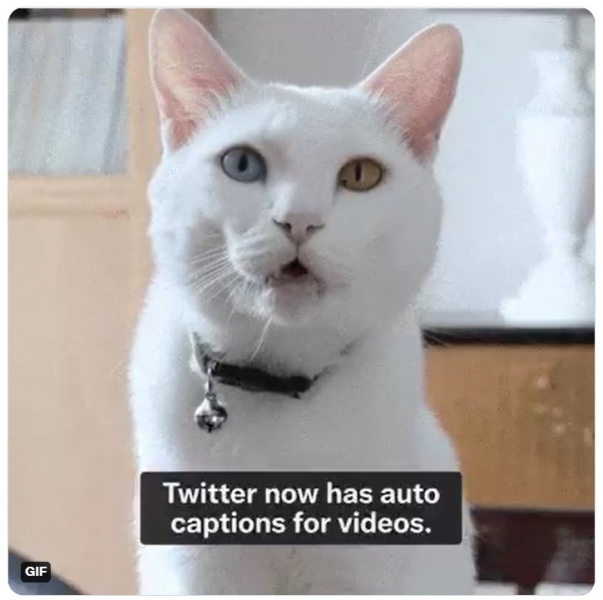 Twitter начал автоматически генерировать субтитры в видеороликах