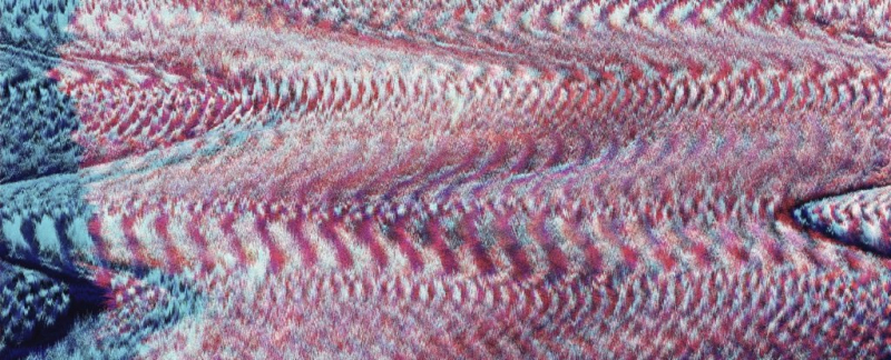 У людей обнаружены приводящие к смерти "мозговые цунами"