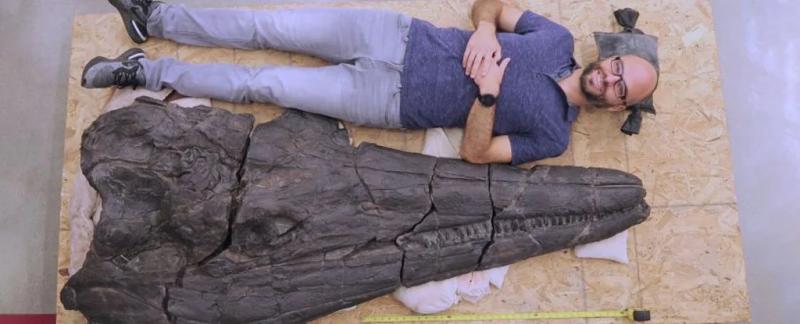 Ученые обнаружили гигантского морского монстра триасового периода, который когда-то плавал по "суперокеану"