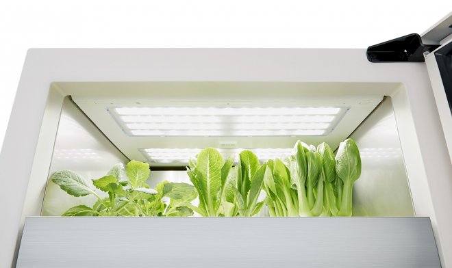 Умный домашний сад от LG позволит выращивать овощи круглый год