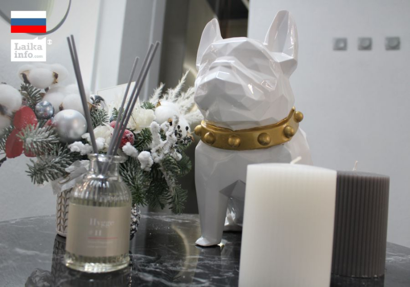 В НОВЫЙ ГОД С НОВЫМ ФОРМАТОМ ОТ JERSEY