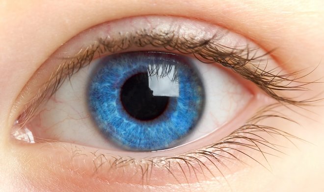 В США разработаны глазные капли, заменяющие очки