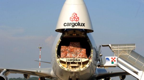 Человек долетел из Африки в Голландию в отсеке шасси - и выжил