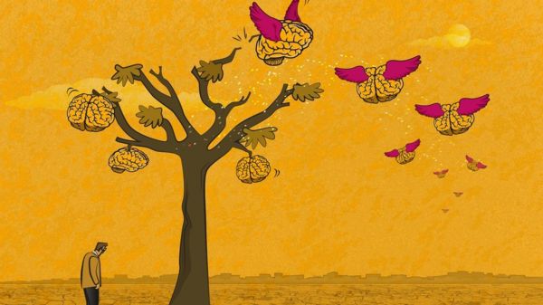 Поле экспериментов: как Китай возвращает уехавших ученых, и что делает Россия?