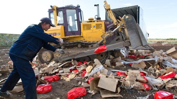 "Беззубое эмбарго": останется ли Россия без "белорусских" мидий из-за новых санкций Лукашенко