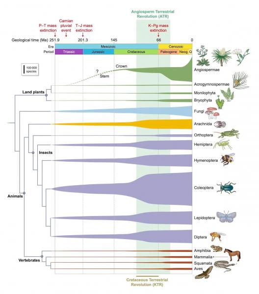 Как "сила цветов" буквально преобразила Землю миллионы лет назад