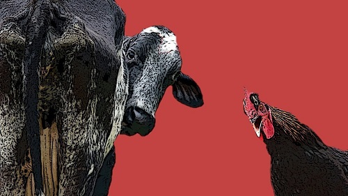 Молоко без коровы. Яйца без курицы