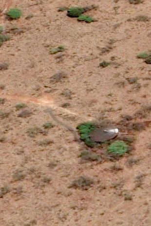 На кадрах со спутника нашли «корабль пришельцев»