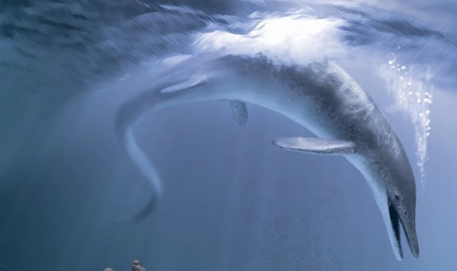 В США найдены останки самого древнего морского гиганта, когда-либо жившего на Земле