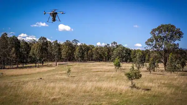 За последние 2 года площадь лесов и деревьев в Индии увеличилась на 2 261 кв. км