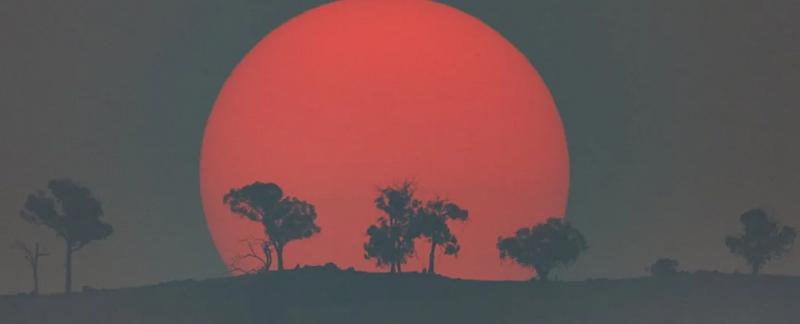 Затемнение Солнца - опасная игра, которую следует запретить, предупреждают ученые