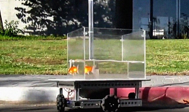 Золотых рыбок научили лихо ездить по суше в мобильных аквариумах