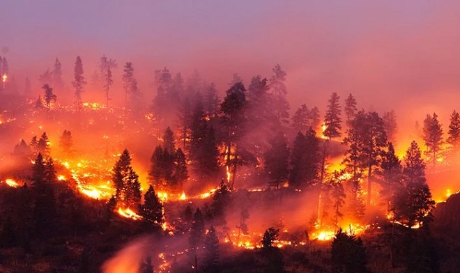 13 000 лет назад огненная буря уничтожила 10% поверхности Земли