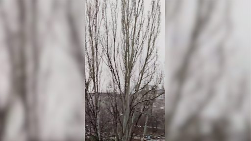 ДНР и ЛНР объявили эвакуацию населения в Россию. Что там происходит