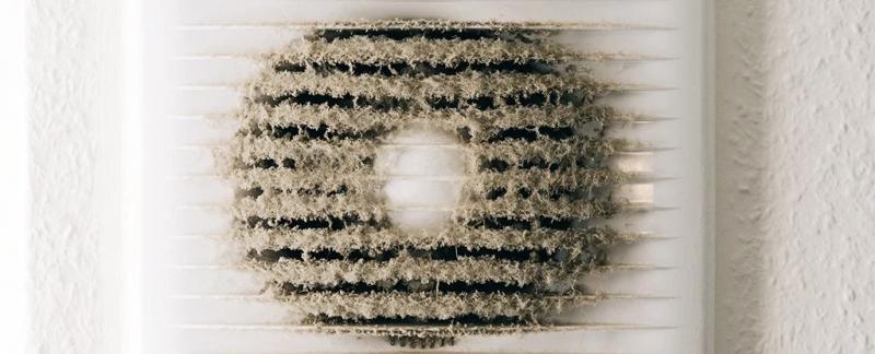 Большое исследование выявило обычные бытовые вещи, которые могут усугубить астму