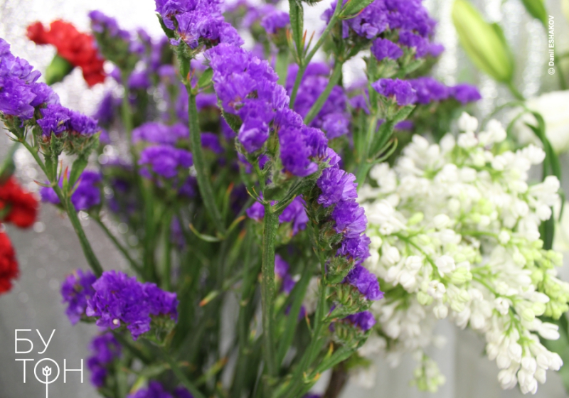 ДАРИТЬ СЧАСТЬЕ — БЕСЦЕННО!