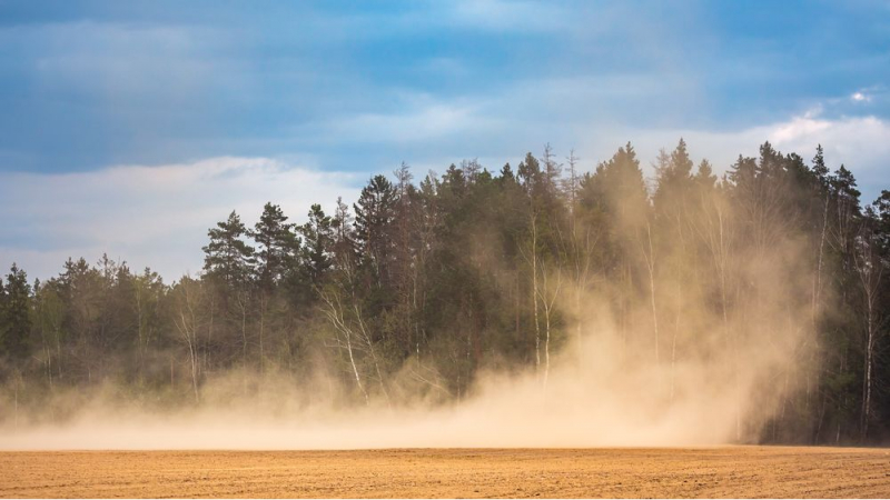 Географы МГУ нашли источники пыли и грязи на Русской равнине