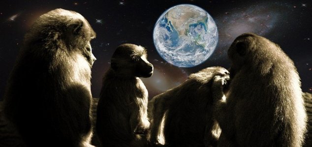 Способна ли обезьяна написать полное собрание сочинений Шекспира?