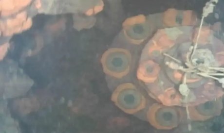 Ученые получили жутковатые снимки изнутри реактора АЭС Фукусимы