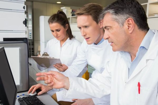 Учёные сконструировали самое большое генеалогическое древо