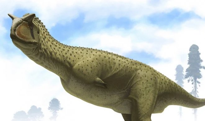 В Аргентине нашли останки странного «безрукого» динозавра, который был успешным хищником 