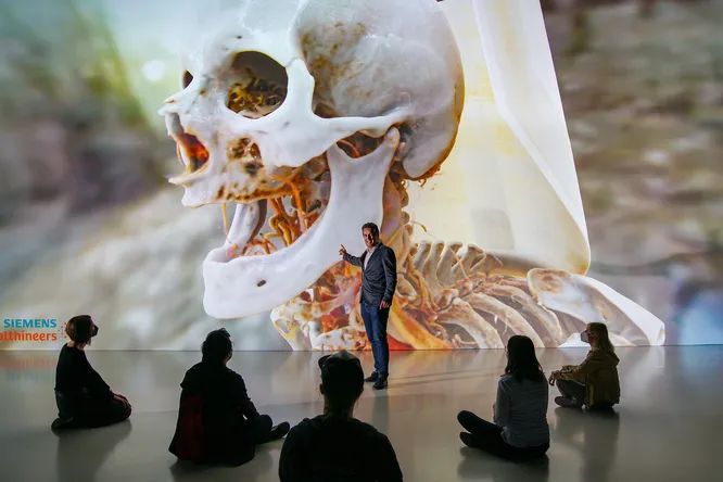 5 главных веществ, из которых состоит человек