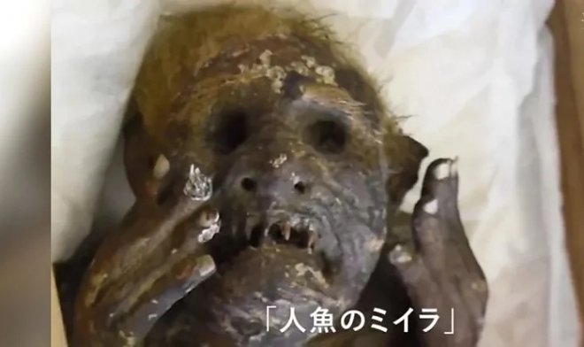 Японские ученые раскрыли тайну 300-летней мумии «русалки из Окаямы»