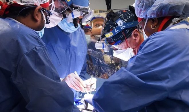 Скончался Дэвид Беннет, которому сделали первую в мире пересадку свиного сердца 