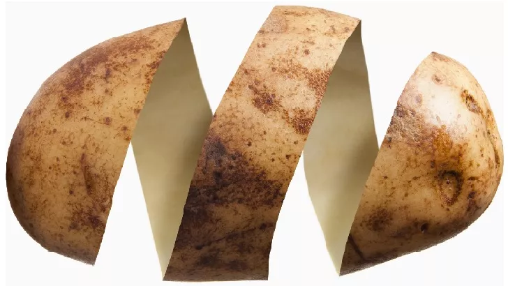 Тест ДНК показал, что претендент на звание "самого большого картофеля в мире" на самом деле является гигантской тыквой