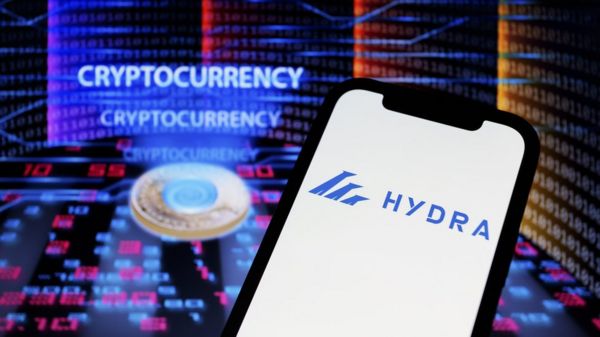 США назвали возможного админа "Гидры". Это россиянин из Череповца