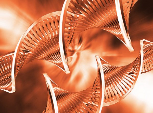 Эксперт рассказал, что ждать людям от полной расшифровки человеческого генома