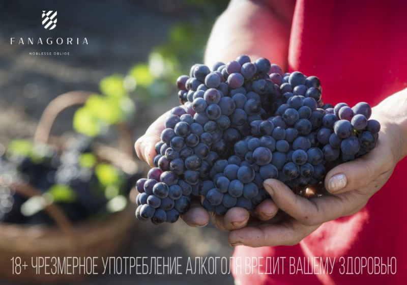 Рассказать про вино просто и интересно? «Фанагория» говорит – «Да»!
