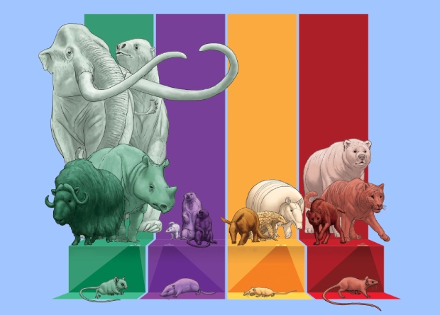 Существовавшая не менее 66 миллионов лет структура экосистем исчезнет из-за человека