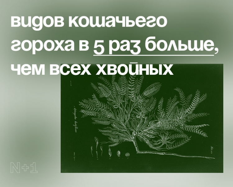 10 внезапных фактов о разнообразии видов