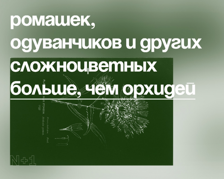 10 внезапных фактов о разнообразии видов