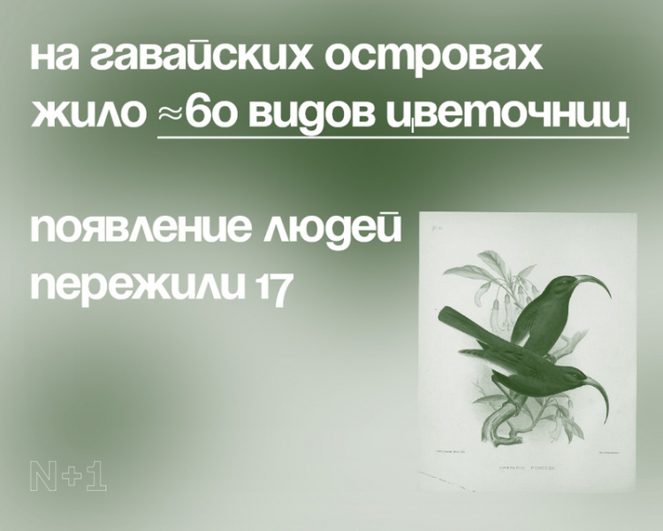 10 внезапных фактов о разнообразии видов