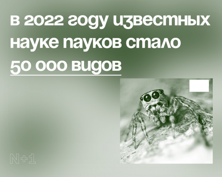 10 внезапных фактов о разнообразии видов