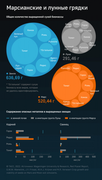Белок из воздуха и грибные фермы. Чем будут питаться колонисты на Луне и Марсе?