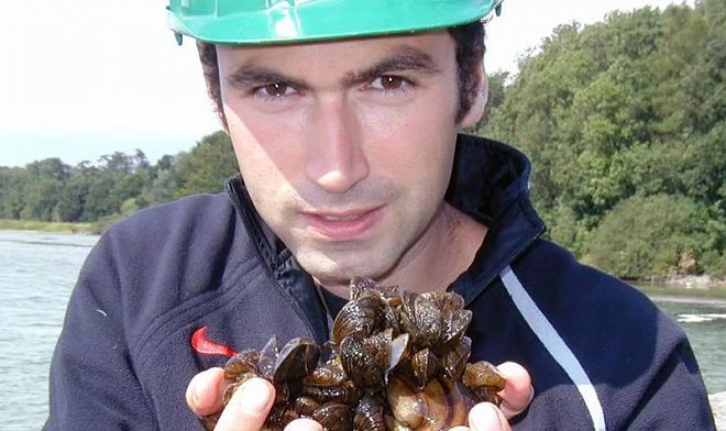 Биопули из Кембриджа — новый экологичный метод борьбы с зебровыми мидиями