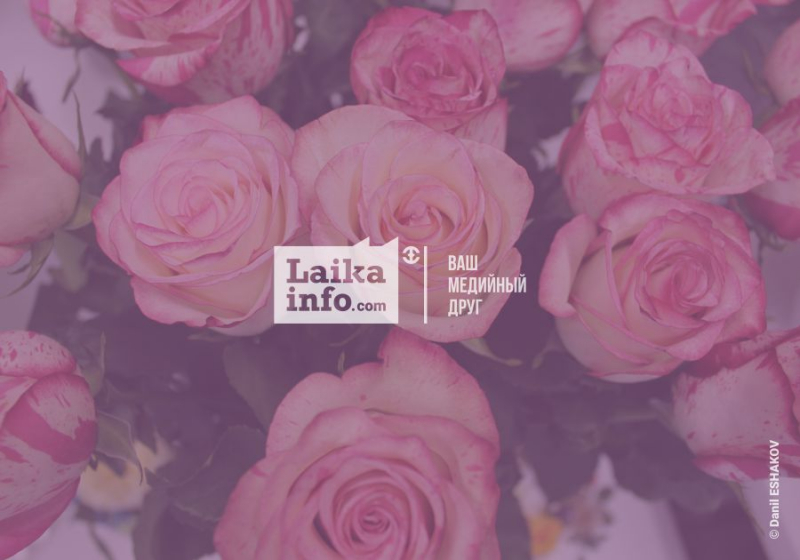 ФОТОБАНК ЛОРИ: МЕТАВСЕЛЕННАЯ ФОТОГРАФА